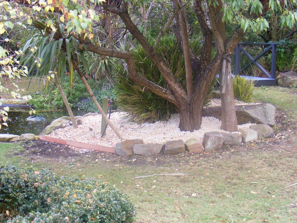 Weeroona Bed And Breakfast Rye Room photo