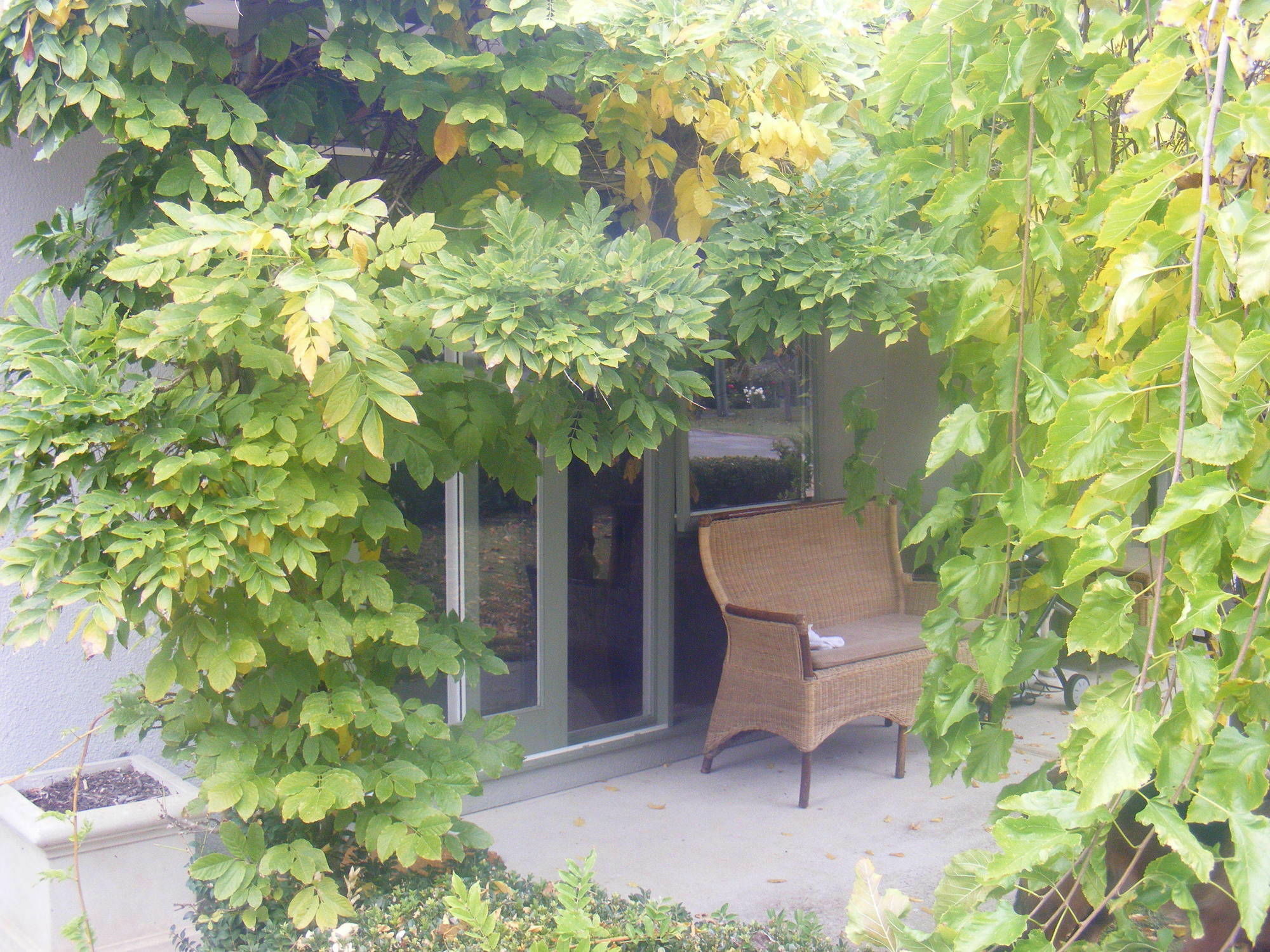 Weeroona Bed And Breakfast Rye Exterior photo